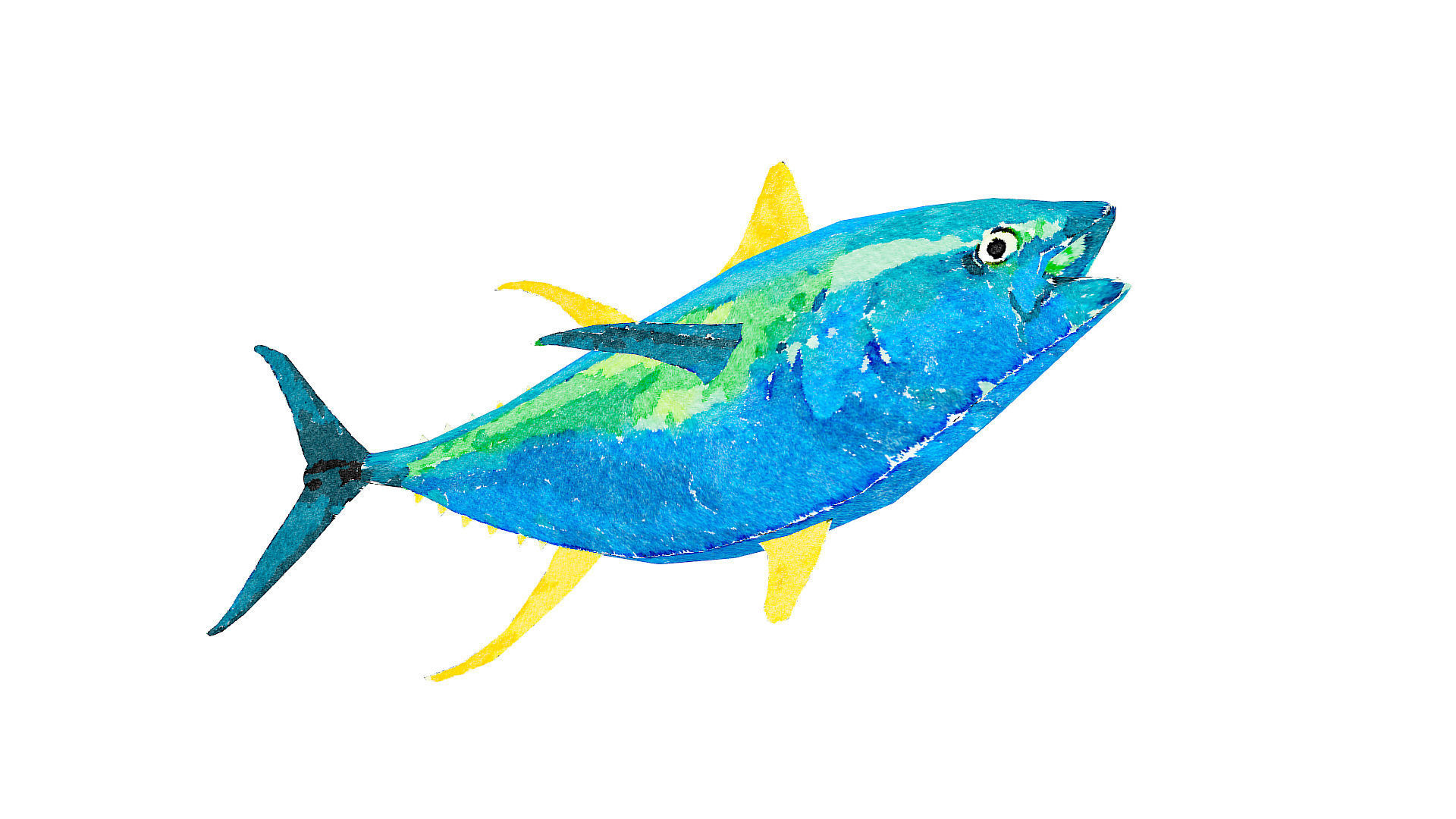 1920x1080 Low Poly Yellowfin Tuna Illustration Animated