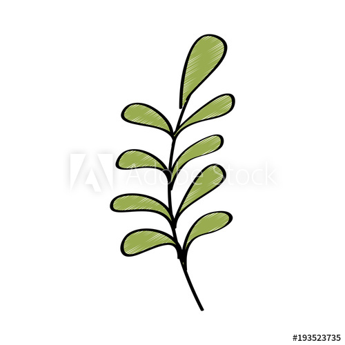 500x500 Branch Leaves Plant Natural Botanical Icon Vector Illustration