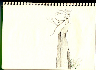 400x294 Clear Light Yew Trees