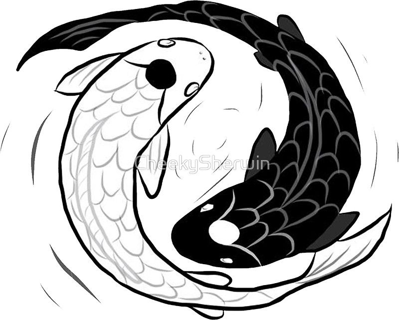 800x642 Ipad Drawing Of Koi Fish Ying Yang Sticker Stickers Koi