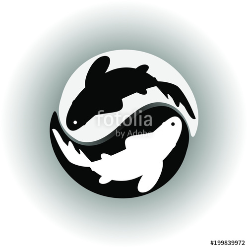 500x500 Yin Yang Symbol Isolated Drawing On White Background Vector