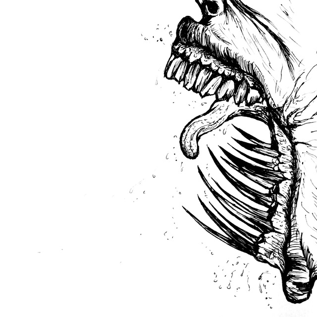 640x640 Sketch Drawing Illustrating Images, Pictures And Stock