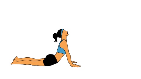 480x270 Animated Drawing Of Female Yoga Bhujangasana Cobra Pose Video