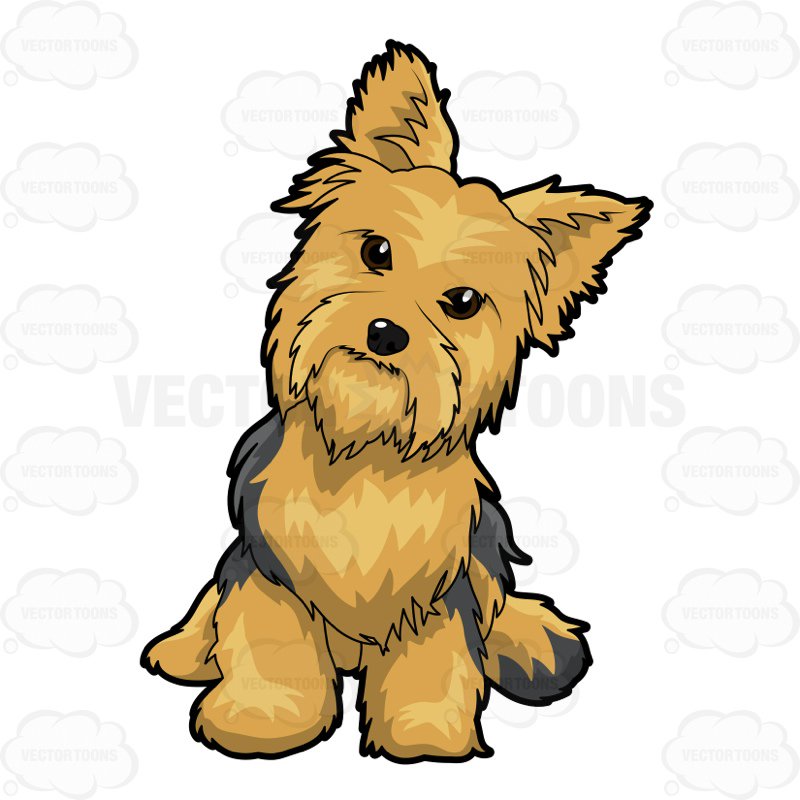 Yorkie Cartoon Drawing Free download on ClipArtMag