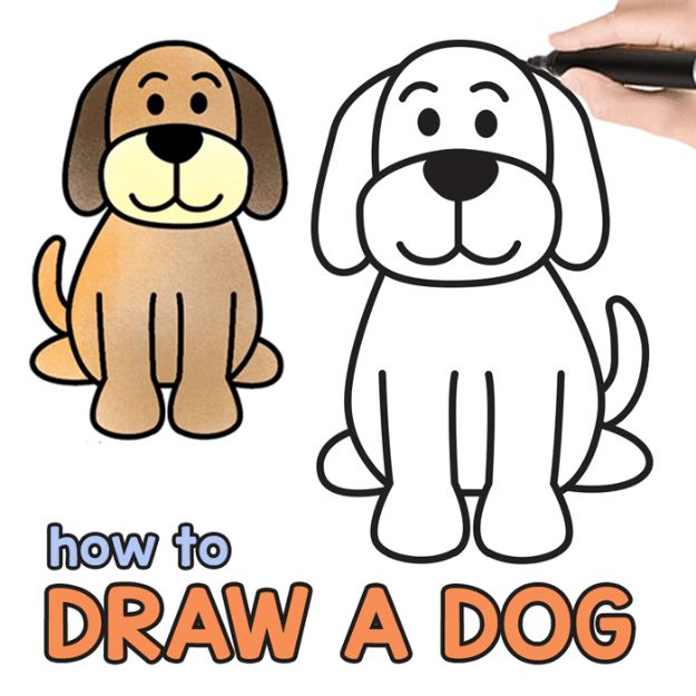 625x625 Ways To Draw Dogs