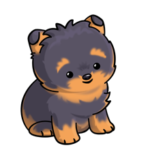 220x220 Drawing Laboratory Yorkie Transparent Png Clipart Free Download