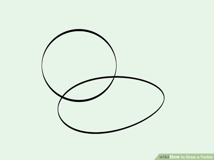 728x546 How To Draw A Yorkie