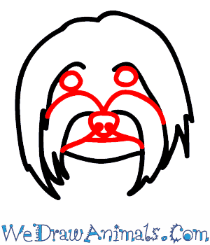 300x350 How To Draw A Yorkie Dog