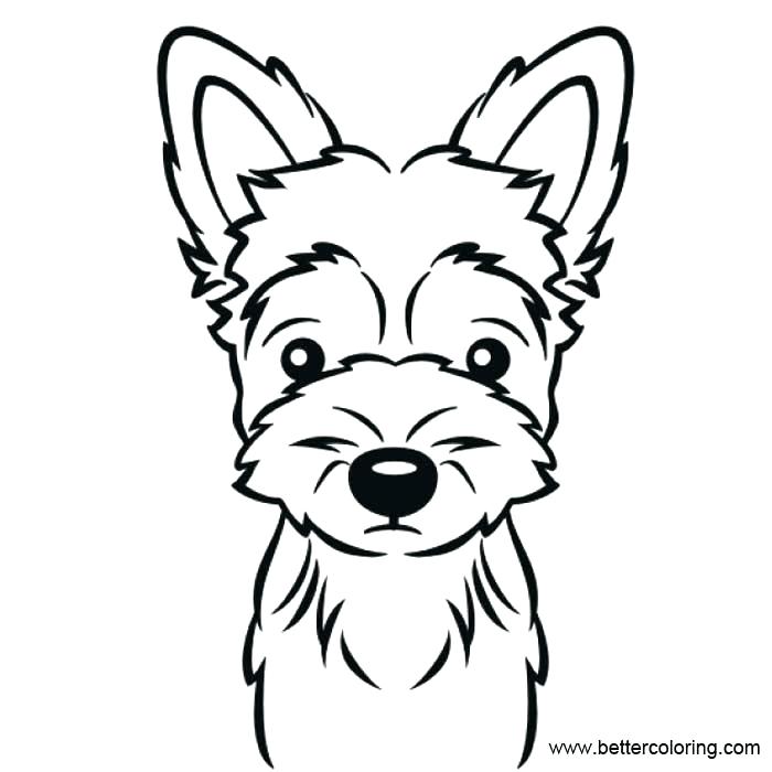 700x700 Yorkie Coloring