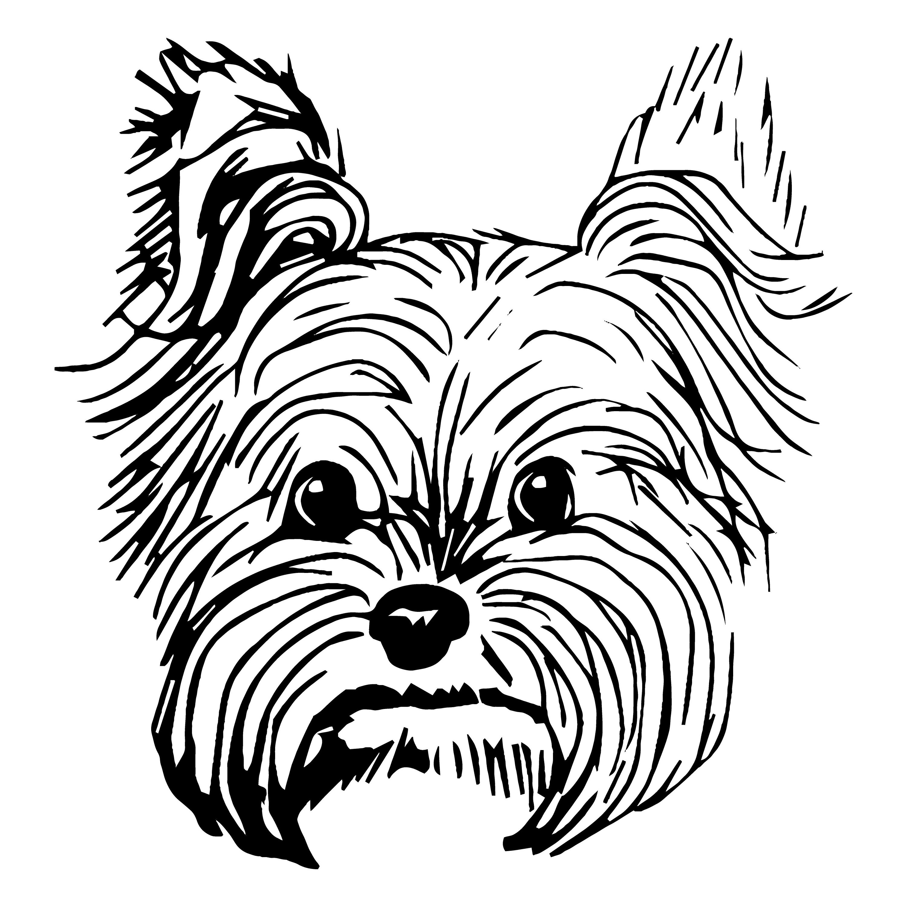 Yorkie Dog Drawing Free download on ClipArtMag
