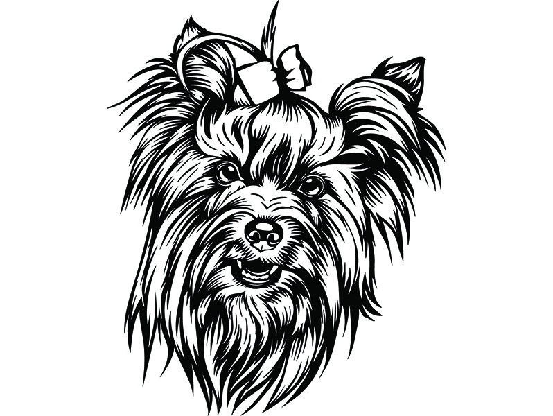 Yorkie Dog Drawing | Free download on ClipArtMag