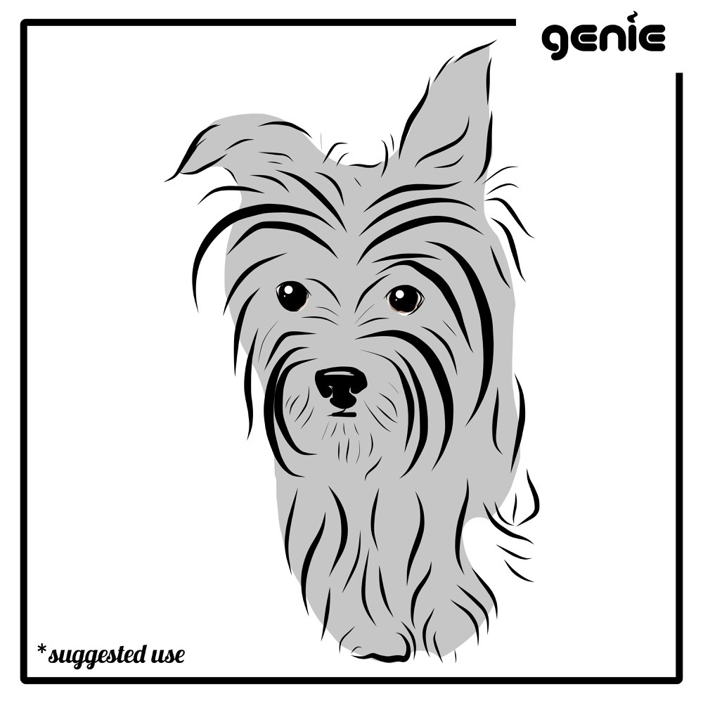 1000x1000 Yorkshire Terrier Yorkie Dog Vector Graphic Illustration Hand