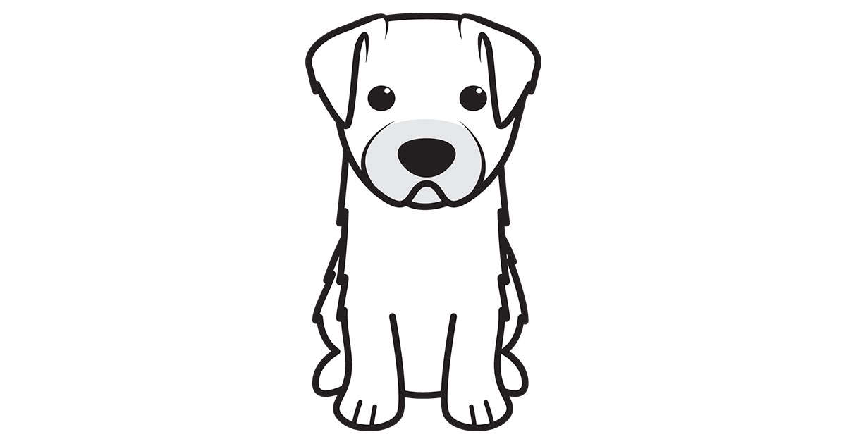 1200x630 Bichon Yorkie Linear Edition Dog Breed Cartoon Download Your