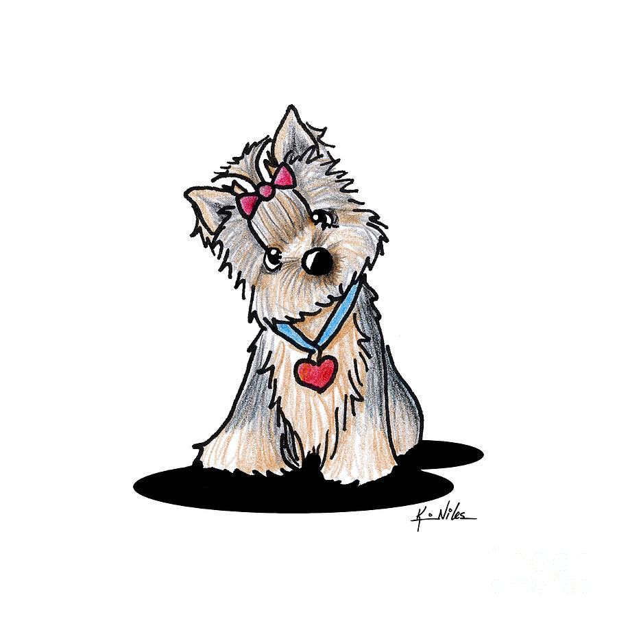 Yorkie Dog Drawing | Free download on ClipArtMag