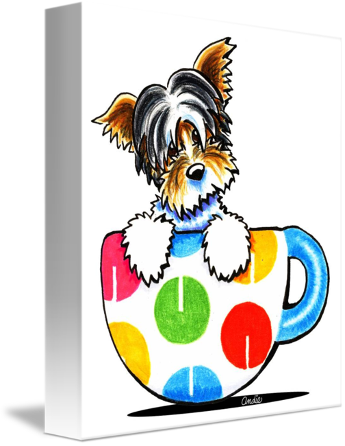 504x650 Cup Of Biewer Yorkie