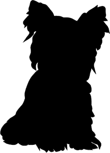 216x300 Drawing Laboratory Yorkie Transparent Png Clipart Free Download