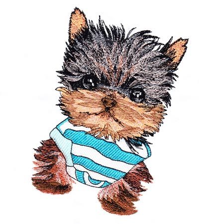 450x450 Realistic Yorkie