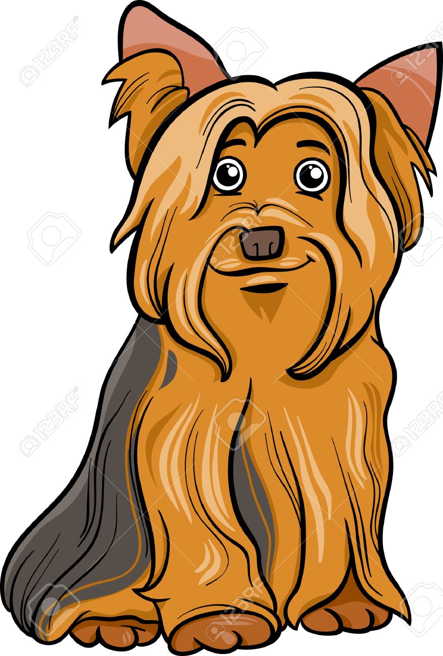877x1300 Yorkie Cartoon Drawing At Getdrawings Com Free For Personal Use
