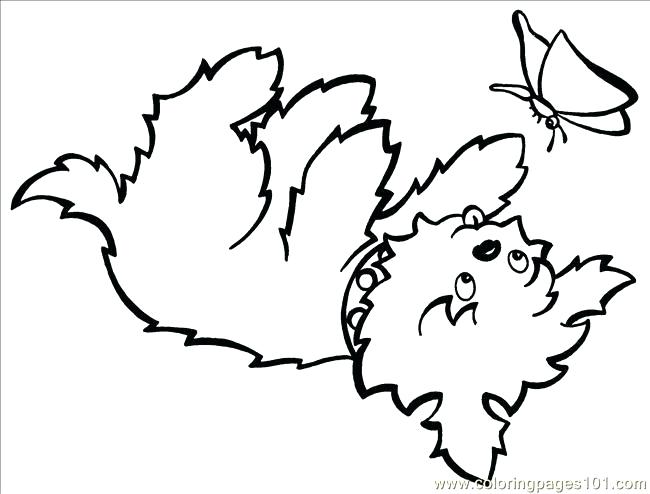 650x494 Yorkie Coloring