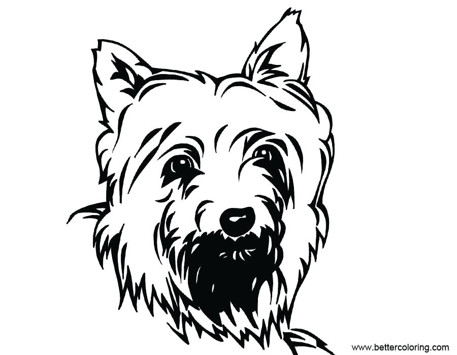 900x700 Yorkie Coloring Pages Cute Coloring Pages