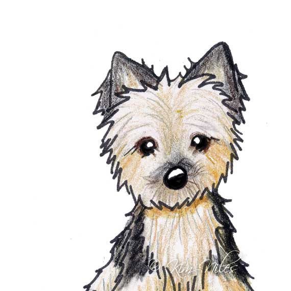 570x570 Yorkie Drawing Simple