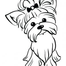 230x230 Charming Inspiration Yorkie Coloring Pages Cartoon Drawing