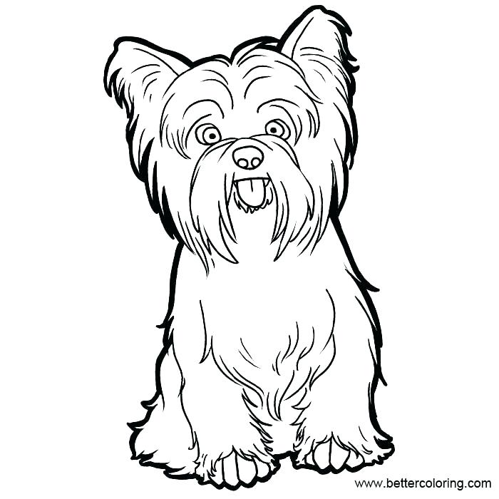 Yorkie Line Drawing | Free download on ClipArtMag
