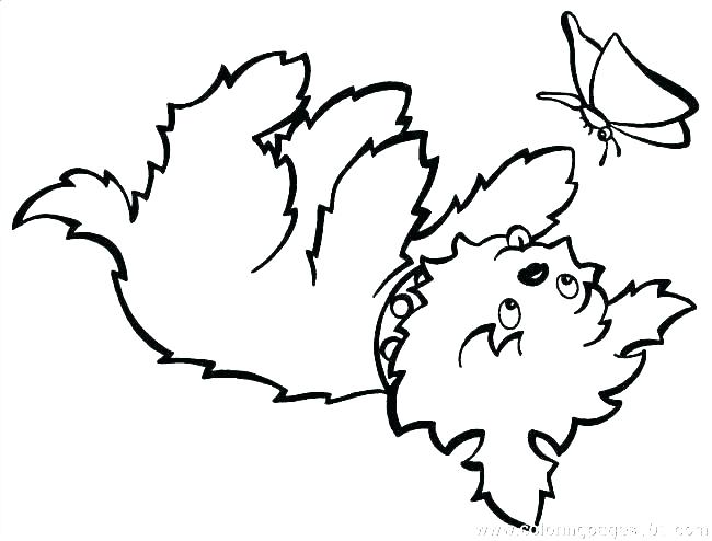 650x494 Yorkie Printable Coloring Pages