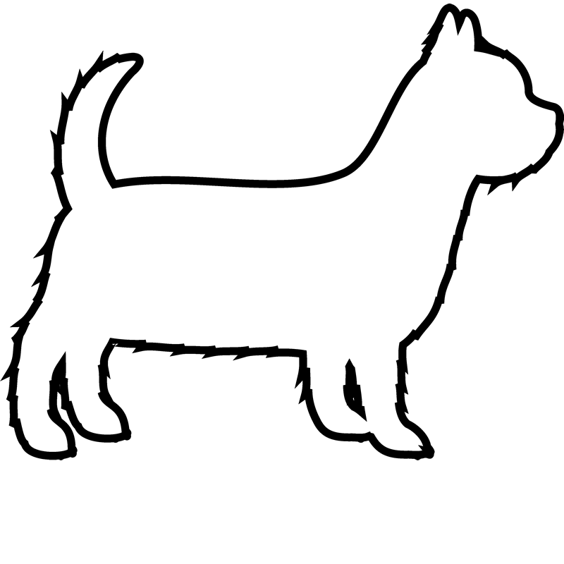 800x800 Terrier Drawing Yorkie Poodle Transparent Png Clipart Free