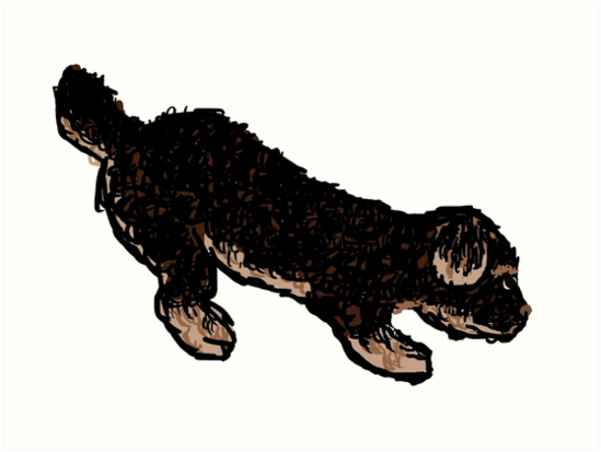 549x413 Little Yorkie Poo Puppy Art Prints