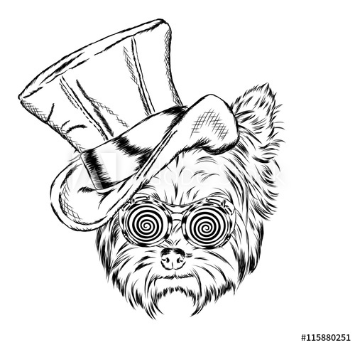 500x485 Funny Puppy In A Strange Hat And Sunglasses Vector Yorkshire