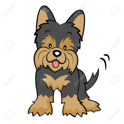 250x250 Yorkie Clipart Pet, Picture