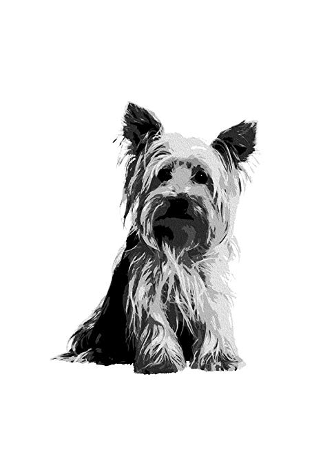 453x679 Dogs Yorkshire Terrier Painting Black White Poster