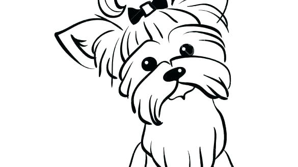 585x329 yorkshire terrier coloring pages terrier coloring