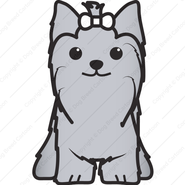 600x600 Yorkshire Terrier