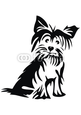 283x400 Yorkshire Terrier Buy Photos Ap Images Detailview