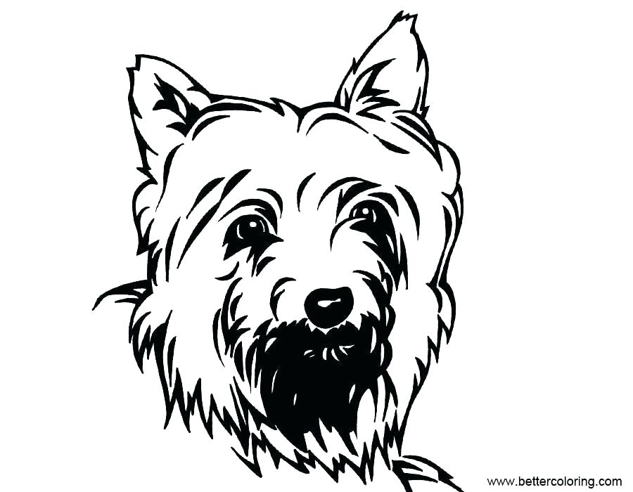 900x700 coloring pages terrier standing feeling coloring pages terrier