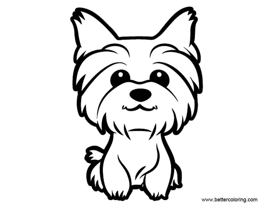 900x700 Cute Yorkie Coloring Pages Gorgeous Free Printable