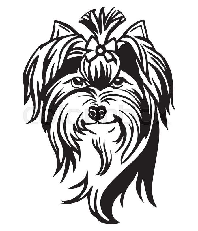 686x800 Decorative Portrait Of Dog Yorkshire Stock Vector Colourbox