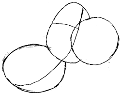 250x194 How To Draw Yoshi On Motorcycle From Wii Mario Kart