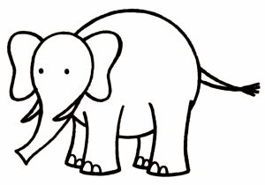 300x210 Pencil Drawing Elephant Step