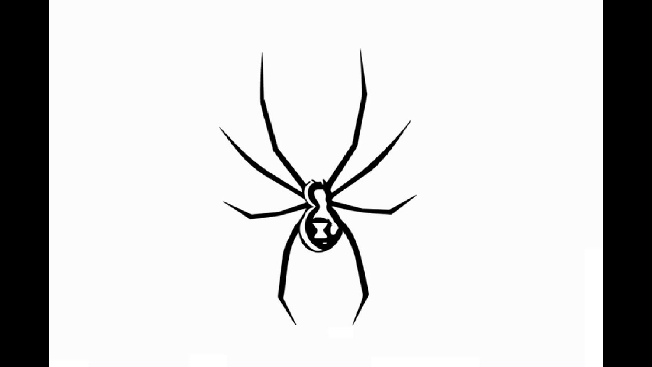 1280x720 How To Draw Giant Black Widow Spider Pencil Drawing Step