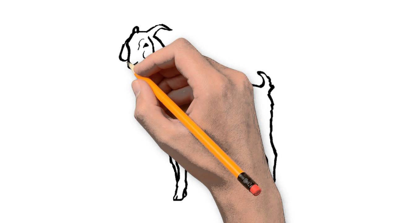 1280x720 Goat Animals Pencil To Draw Step