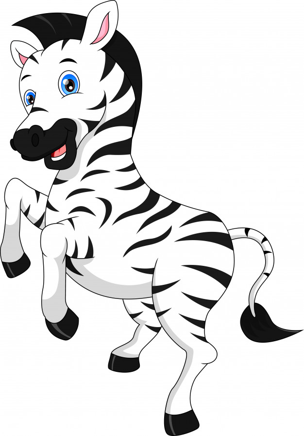 626x897 Cute Zebra Cartoon Vector Premium Download