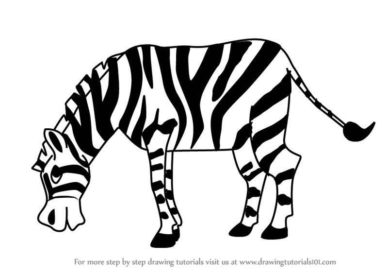 800x566 Learn How To Draw A Cartoon Zebra