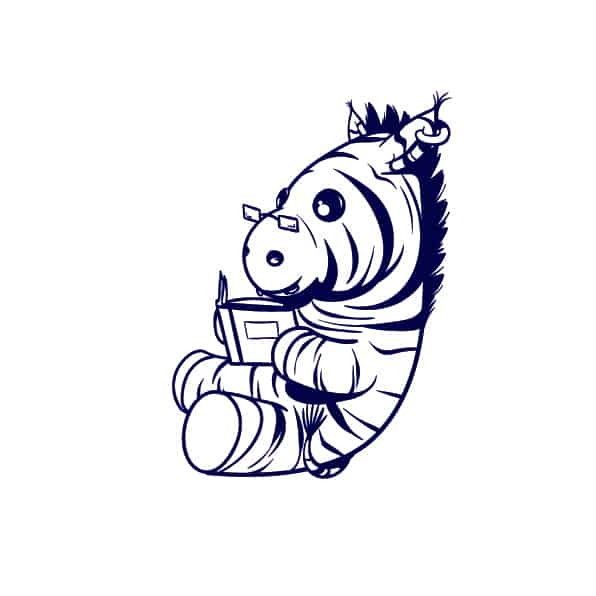 596x596 Learn How To Draw A Zebra