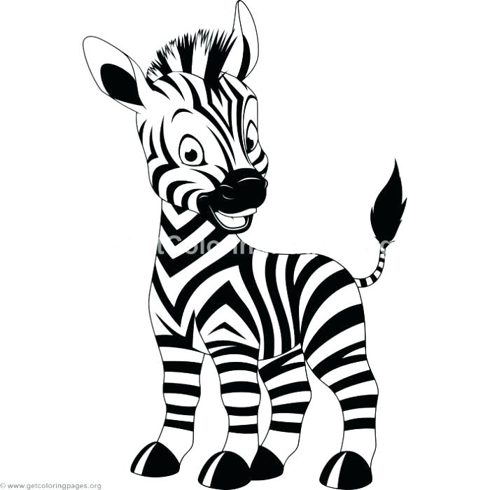 700x700 Baby Zebra Drawing Baby Zebra