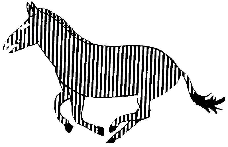 800x516 Zebra Drawing Clipart