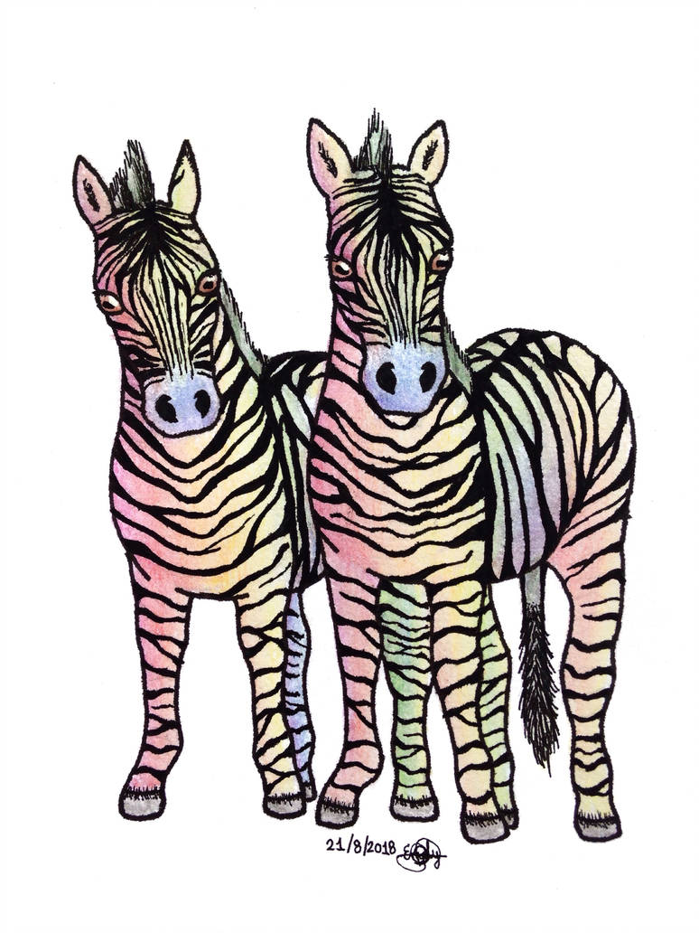774x1032 Zebra Drawing