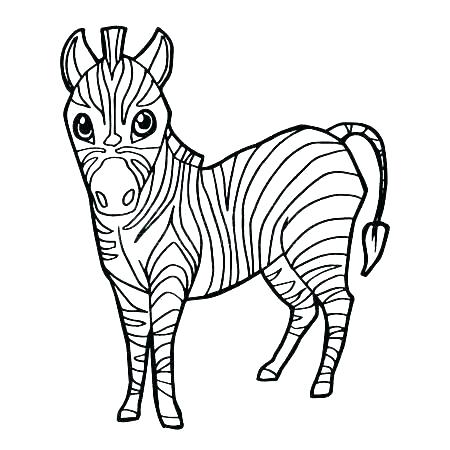 450x450 Simple Zebra Drawing Running